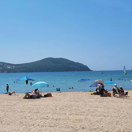 Apartamento Front De Les Lecques